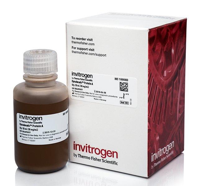 Dynabeads Protein A | 製品情報 | ベリタス